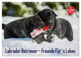 CALVENDO / Starick | Labrador Retriever - Freunde für´s Leben (Wandkalender 2025 DIN A3 quer), CALVENDO Monatskalender | Sonstiges | 978-3-435-54487-5 | www.sack.de