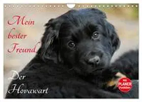 CALVENDO / Starick |  Mein bester Freund - Der Hovawart (Wandkalender 2025 DIN A4 quer), CALVENDO Monatskalender | Sonstiges |  Sack Fachmedien