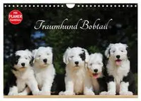 CALVENDO / Starick |  Traumhund Bobtail (Wandkalender 2025 DIN A4 quer), CALVENDO Monatskalender | Sonstiges |  Sack Fachmedien