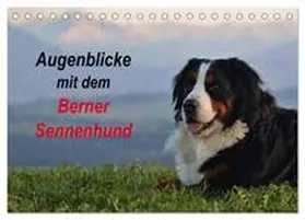 CALVENDO / Hunscheidt |  Augenblicke mit dem Berner Sennenhund (Tischkalender 2025 DIN A5 quer), CALVENDO Monatskalender | Sonstiges |  Sack Fachmedien