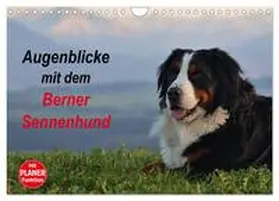 CALVENDO / Hunscheidt |  Augenblicke mit dem Berner Sennenhund (Wandkalender 2025 DIN A4 quer), CALVENDO Monatskalender | Sonstiges |  Sack Fachmedien