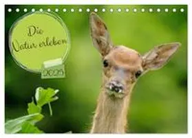 CALVENDO / Plattner |  Die Natur erleben (Tischkalender 2025 DIN A5 quer), CALVENDO Monatskalender | Sonstiges |  Sack Fachmedien