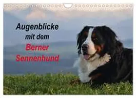 CALVENDO / Hunscheidt |  Augenblicke mit dem Berner Sennenhund (Wandkalender 2025 DIN A4 quer), CALVENDO Monatskalender | Sonstiges |  Sack Fachmedien