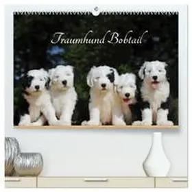 CALVENDO / Starick |  Traumhund Bobtail (hochwertiger Premium Wandkalender 2025 DIN A2 quer), Kunstdruck in Hochglanz | Sonstiges |  Sack Fachmedien