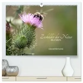 CALVENDO / Fuchs |  Zierbilder der Natur BLUMEN (hochwertiger Premium Wandkalender 2025 DIN A2 quer), Kunstdruck in Hochglanz | Sonstiges |  Sack Fachmedien
