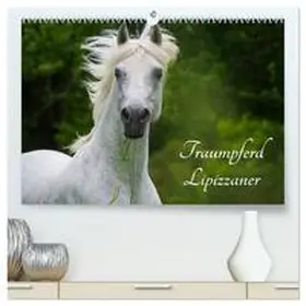 CALVENDO / Starick |  Traumpferd Lipizzaner (hochwertiger Premium Wandkalender 2025 DIN A2 quer), Kunstdruck in Hochglanz | Sonstiges |  Sack Fachmedien