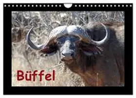 CALVENDO / Ohm |  Büffel (Wandkalender 2025 DIN A4 quer), CALVENDO Monatskalender | Sonstiges |  Sack Fachmedien