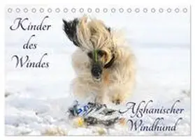 CALVENDO / Starick |  Kinder des Windes - Afghanischer Windhund (Tischkalender 2025 DIN A5 quer), CALVENDO Monatskalender | Sonstiges |  Sack Fachmedien