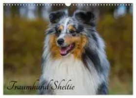 CALVENDO / Starick |  Traumhund Sheltie (Wandkalender 2025 DIN A3 quer), CALVENDO Monatskalender | Sonstiges |  Sack Fachmedien