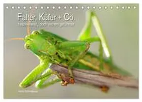 CALVENDO / Schmidbauer | Falter, Käfer und Co.faszinierend, doch extrem gefährdet (Tischkalender 2025 DIN A5 quer), CALVENDO Monatskalender | Sonstiges | 978-3-435-56972-4 | www.sack.de