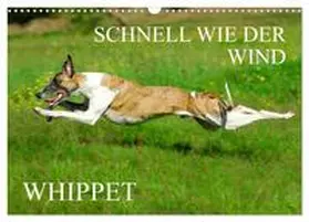 CALVENDO / Starick |  Schnell wie der Wind - Whippet (Wandkalender 2025 DIN A3 quer), CALVENDO Monatskalender | Sonstiges |  Sack Fachmedien