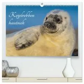 CALVENDO / Starick | Kegelrobben hautnah (hochwertiger Premium Wandkalender 2025 DIN A2 quer), Kunstdruck in Hochglanz | Sonstiges | 978-3-435-57402-5 | www.sack.de