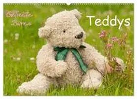 CALVENDO / Bölts |  Geliebte Bären - Teddys (Wandkalender 2025 DIN A2 quer), CALVENDO Monatskalender | Sonstiges |  Sack Fachmedien