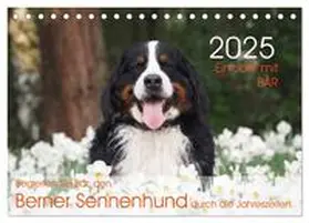 CALVENDO / Brenner |  Ein Jahr mit BÄR. Begleiten Sie Bär, den Berner Sennenhund, durch die Jahreszeiten. (Tischkalender 2025 DIN A5 quer), CALVENDO Monatskalender | Sonstiges |  Sack Fachmedien