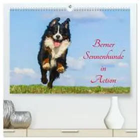 CALVENDO / Starick |  Berner Sennenhunde in Action (hochwertiger Premium Wandkalender 2025 DIN A2 quer), Kunstdruck in Hochglanz | Sonstiges |  Sack Fachmedien