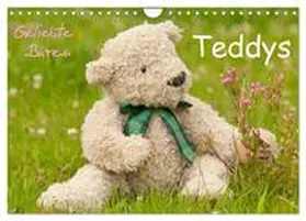 CALVENDO / Bölts |  Geliebte Bären - Teddys (Wandkalender 2025 DIN A4 quer), CALVENDO Monatskalender | Sonstiges |  Sack Fachmedien