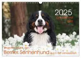CALVENDO / Brenner |  Ein Jahr mit BÄR. Begleiten Sie Bär, den Berner Sennenhund, durch die Jahreszeiten. (Wandkalender 2025 DIN A3 quer), CALVENDO Monatskalender | Sonstiges |  Sack Fachmedien