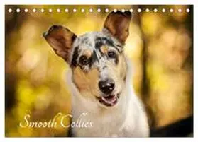 CALVENDO / Längsfeld |  Smooth Collies (Tischkalender 2025 DIN A5 quer), CALVENDO Monatskalender | Sonstiges |  Sack Fachmedien