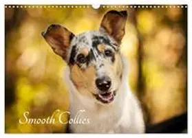 CALVENDO / Längsfeld |  Smooth Collies (Wandkalender 2025 DIN A3 quer), CALVENDO Monatskalender | Sonstiges |  Sack Fachmedien