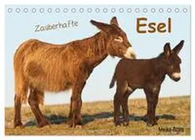 CALVENDO / Bölts |  Zauberhafte Esel (Tischkalender 2025 DIN A5 quer), CALVENDO Monatskalender | Sonstiges |  Sack Fachmedien