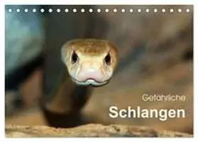 CALVENDO / Herzog |  Gefährliche Schlangen (Tischkalender 2025 DIN A5 quer), CALVENDO Monatskalender | Sonstiges |  Sack Fachmedien
