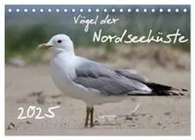 CALVENDO / Allnoch |  Vögel der Nordseeküste (Tischkalender 2025 DIN A5 quer), CALVENDO Monatskalender | Sonstiges |  Sack Fachmedien