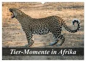 CALVENDO / Janssen | Tier-Momente in Afrika (Wandkalender 2025 DIN A3 quer), CALVENDO Monatskalender | Sonstiges | 978-3-435-60855-3 | www.sack.de