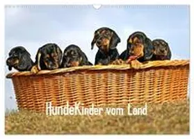 CALVENDO / Müller |  Hundekinder vom Land (Wandkalender 2025 DIN A3 quer), CALVENDO Monatskalender | Sonstiges |  Sack Fachmedien