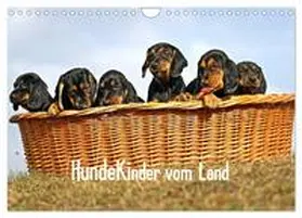 CALVENDO / Müller |  Hundekinder vom Land (Wandkalender 2025 DIN A4 quer), CALVENDO Monatskalender | Sonstiges |  Sack Fachmedien