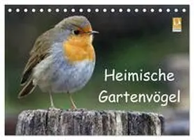 CALVENDO / Wilczek |  Heimische Gartenvögel (Tischkalender 2025 DIN A5 quer), CALVENDO Monatskalender | Sonstiges |  Sack Fachmedien