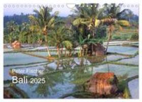 CALVENDO / Fischer |  Peter Fischer - Bali 2025 (Wandkalender 2025 DIN A4 quer), CALVENDO Monatskalender | Sonstiges |  Sack Fachmedien