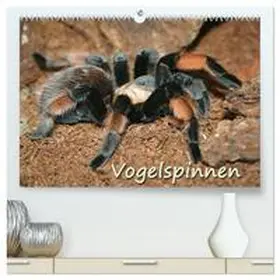 CALVENDO / Mielewczyk |  Vogelspinnen (hochwertiger Premium Wandkalender 2025 DIN A2 quer), Kunstdruck in Hochglanz | Sonstiges |  Sack Fachmedien
