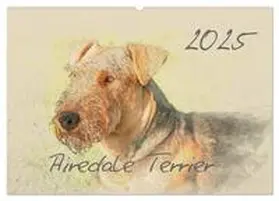 CALVENDO / Redecker |  Airedale Terrier 2025 (Wandkalender 2025 DIN A2 quer), CALVENDO Monatskalender | Sonstiges |  Sack Fachmedien