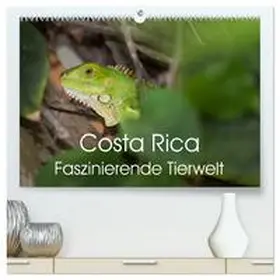 CALVENDO / Gerber |  Costa Rica. Faszinierende Tierwelt (hochwertiger Premium Wandkalender 2025 DIN A2 quer), Kunstdruck in Hochglanz | Sonstiges |  Sack Fachmedien