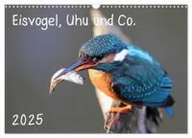 CALVENDO / Allnoch |  Eisvogel, Uhu und Co. (Wandkalender 2025 DIN A3 quer), CALVENDO Monatskalender | Sonstiges |  Sack Fachmedien