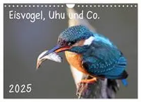 CALVENDO / Allnoch |  Eisvogel, Uhu und Co. (Wandkalender 2025 DIN A4 quer), CALVENDO Monatskalender | Sonstiges |  Sack Fachmedien