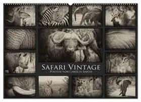 CALVENDO / Barth |  Safari Vintage (Wandkalender 2025 DIN A2 quer), CALVENDO Monatskalender | Sonstiges |  Sack Fachmedien