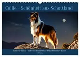 CALVENDO / Kleemann |  Traumhund Collie (Wandkalender 2025 DIN A3 quer), CALVENDO Monatskalender | Sonstiges |  Sack Fachmedien