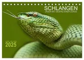 CALVENDO / Hilger |  SCHLANGEN. JÄGER MIT GESPALTENER ZUNGE (Tischkalender 2025 DIN A5 quer), CALVENDO Monatskalender | Sonstiges |  Sack Fachmedien