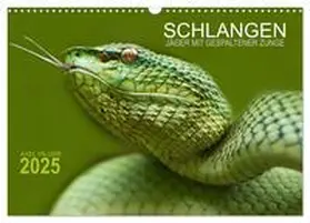 CALVENDO / Hilger |  SCHLANGEN. JÄGER MIT GESPALTENER ZUNGE (Wandkalender 2025 DIN A3 quer), CALVENDO Monatskalender | Sonstiges |  Sack Fachmedien