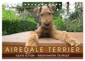 CALVENDO / Rottmann |  Airedale Terrier (Tischkalender 2025 DIN A5 quer), CALVENDO Monatskalender | Sonstiges |  Sack Fachmedien