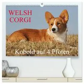 CALVENDO / Starick |  Welsh Corgi - Kobold auf 4 Pfoten (hochwertiger Premium Wandkalender 2025 DIN A2 quer), Kunstdruck in Hochglanz | Sonstiges |  Sack Fachmedien