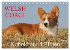 CALVENDO / Starick |  Welsh Corgi - Kobold auf 4 Pfoten (Tischkalender 2025 DIN A5 quer), CALVENDO Monatskalender | Sonstiges |  Sack Fachmedien