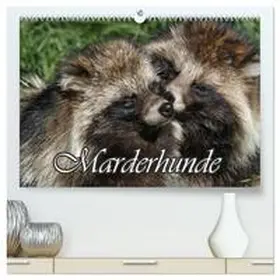 CALVENDO / Lindert-Rottke |  Marderhunde (hochwertiger Premium Wandkalender 2025 DIN A2 quer), Kunstdruck in Hochglanz | Sonstiges |  Sack Fachmedien