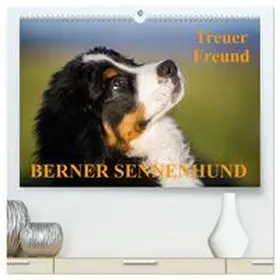 CALVENDO / Starick |  Treuer Freund Berner Sennenhund (hochwertiger Premium Wandkalender 2025 DIN A2 quer), Kunstdruck in Hochglanz | Sonstiges |  Sack Fachmedien