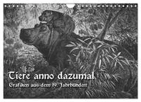 CALVENDO / Berg |  Tiere anno dazumal (Wandkalender 2025 DIN A4 quer), CALVENDO Monatskalender | Sonstiges |  Sack Fachmedien