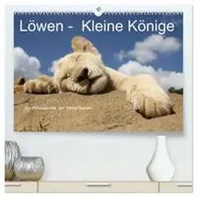 CALVENDO / Sander |  Löwen - Kleine Könige (hochwertiger Premium Wandkalender 2025 DIN A2 quer), Kunstdruck in Hochglanz | Sonstiges |  Sack Fachmedien