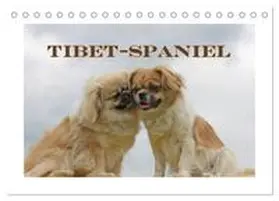 CALVENDO / Lindert-Rottke |  Tibet-Spaniel (Tischkalender 2025 DIN A5 quer), CALVENDO Monatskalender | Sonstiges |  Sack Fachmedien