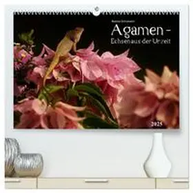 CALVENDO / Schumann |  Agamen - Echsen aus der Urzeit (hochwertiger Premium Wandkalender 2025 DIN A2 quer), Kunstdruck in Hochglanz | Sonstiges |  Sack Fachmedien