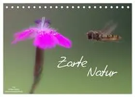 CALVENDO / Adam |  Zarte Natur 2025 (Tischkalender 2025 DIN A5 quer), CALVENDO Monatskalender | Sonstiges |  Sack Fachmedien